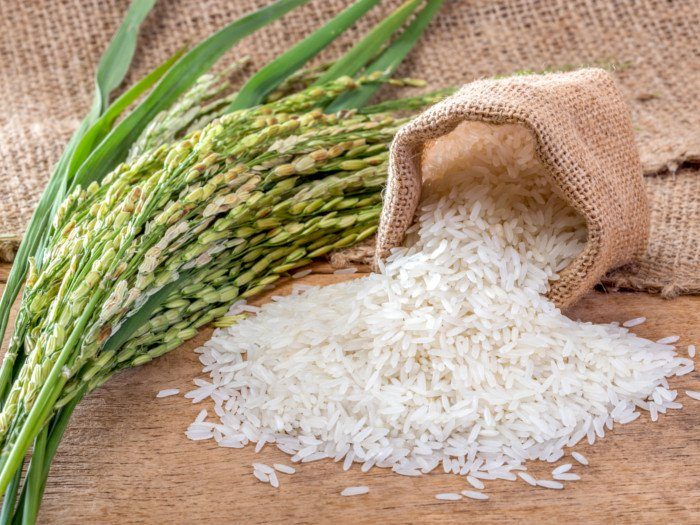 Read more about the article برنامه تغذیه برنج